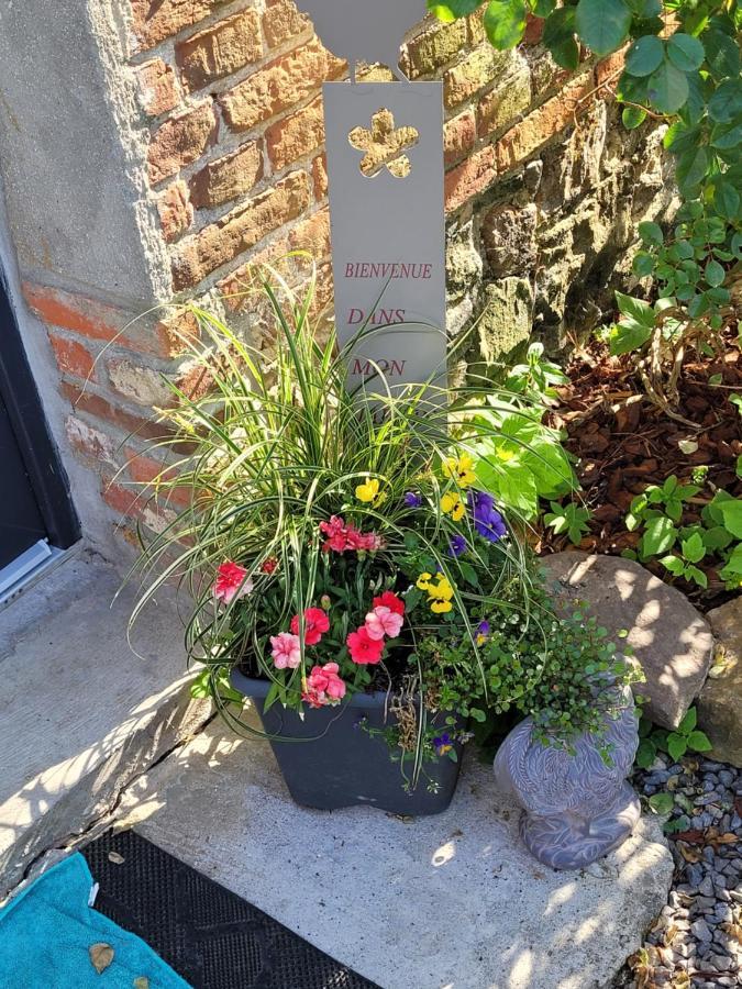 Studio Bienvenue Du Cote De Chez Nous Avec Jardin Privatif Wignehies Bagian luar foto