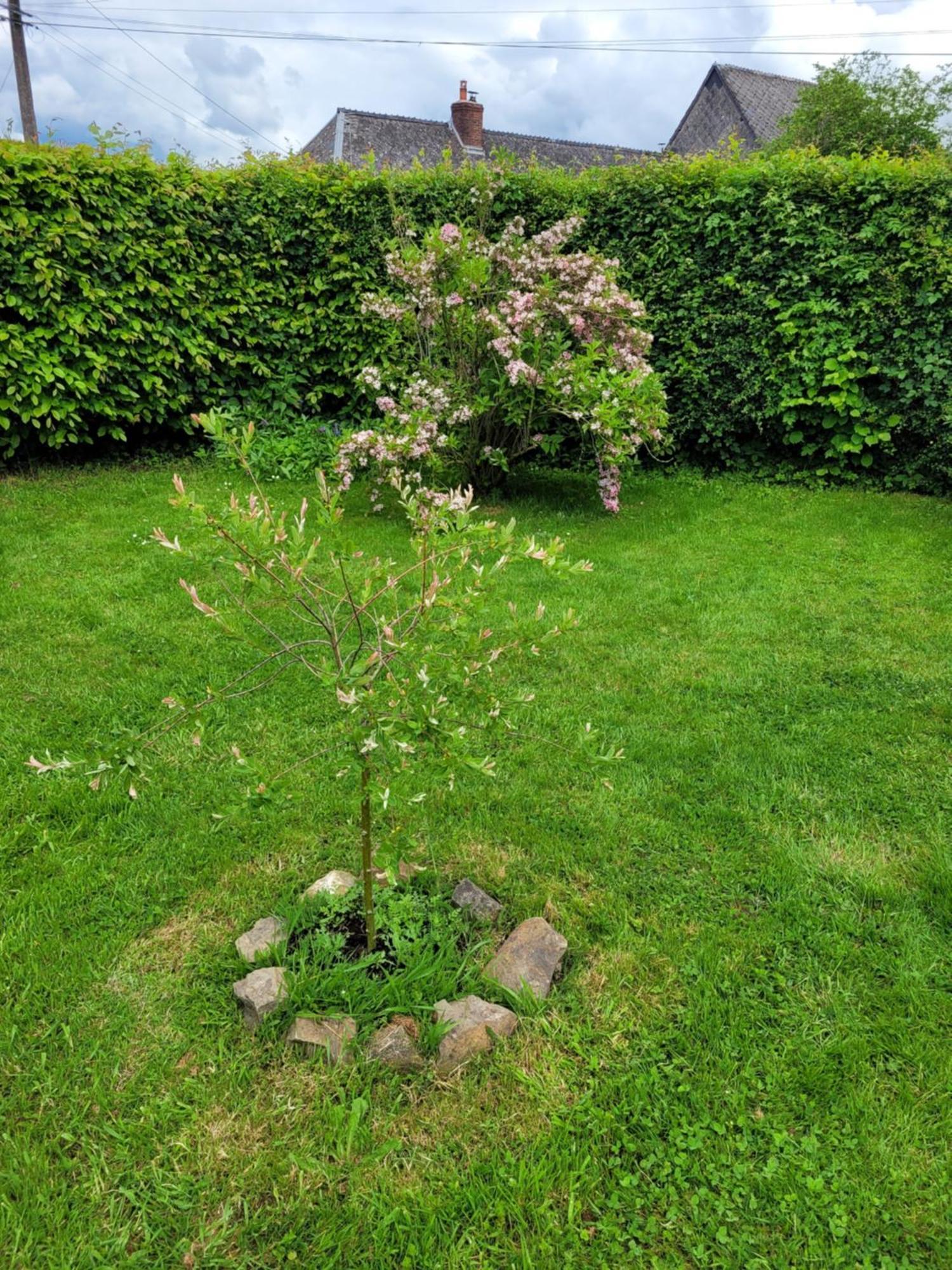 Studio Bienvenue Du Cote De Chez Nous Avec Jardin Privatif Wignehies Bagian luar foto